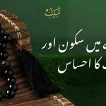 "لبیب کی خاص تسبیح – روحانی سکون اور جمالیاتی حسن کا امتزاج"